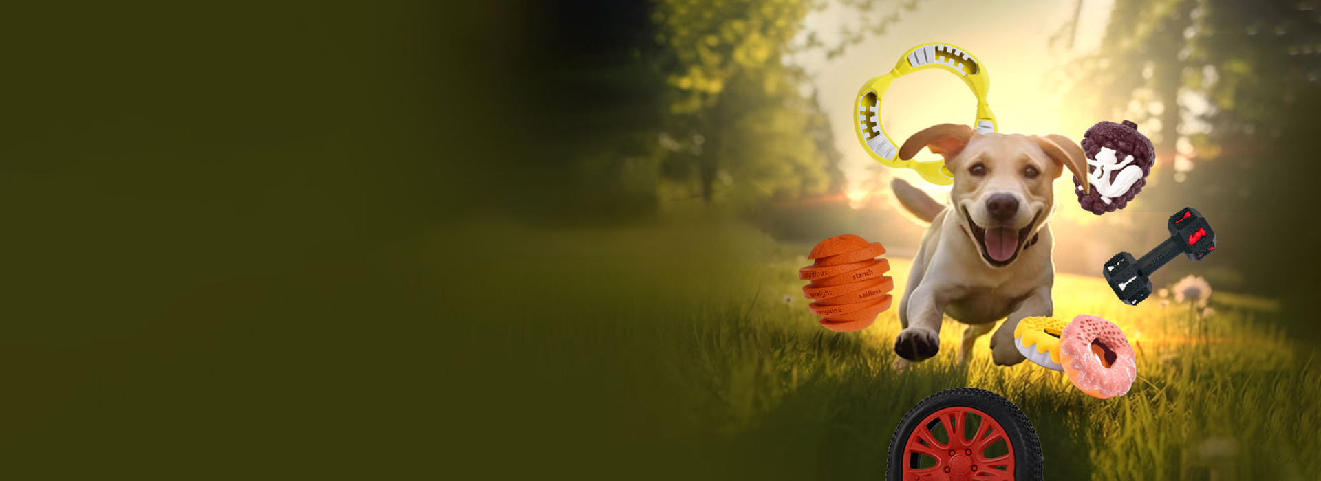 slider image slider_item_PAgAgH